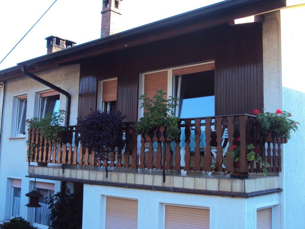 Apartment Maruška Tolmin Bagian luar foto