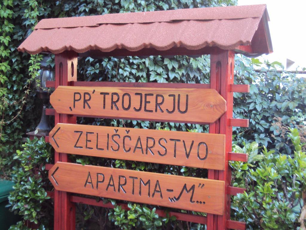 Apartment Maruška Tolmin Bagian luar foto
